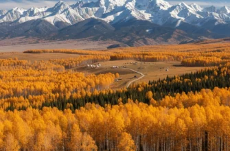 Golden autumn foliage in Ile-Alatau Mountains near Almaty, Kazakhstan