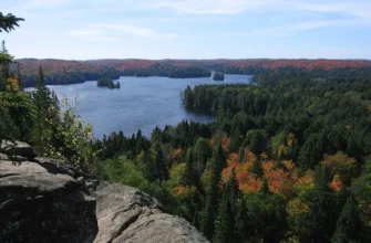 Scenic lakeside camping site at Algonquin Provincial Park, Ontario